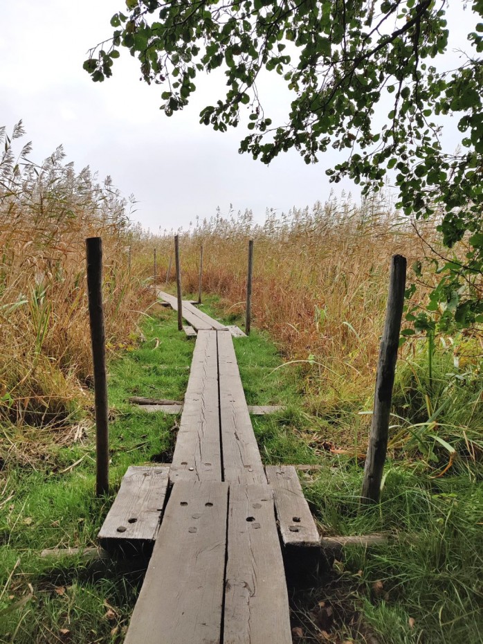 Hurmaavat Lammassaari ja Kuusiluoto – eväsretki&nbsp;Helsingissä