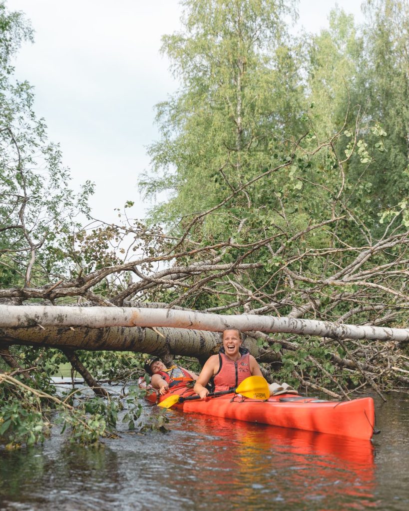 Kaksikkokajakki alittamassa myrskyssä kaatunutta puunrunkoa