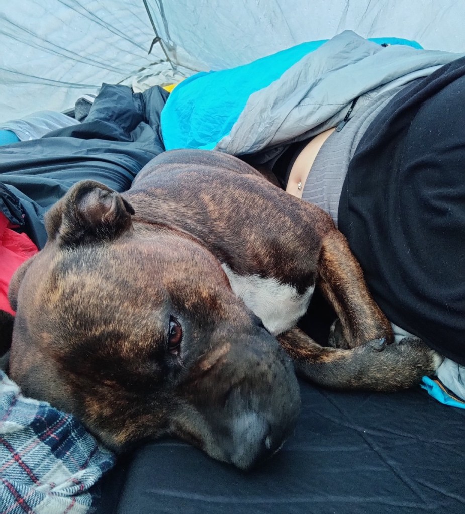 Aamulla puuteltassa Möhkö pääsi meidän väliin