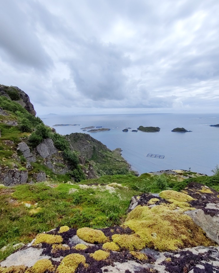 Heiavannat näköalatasanteen maisemaa merelle päin