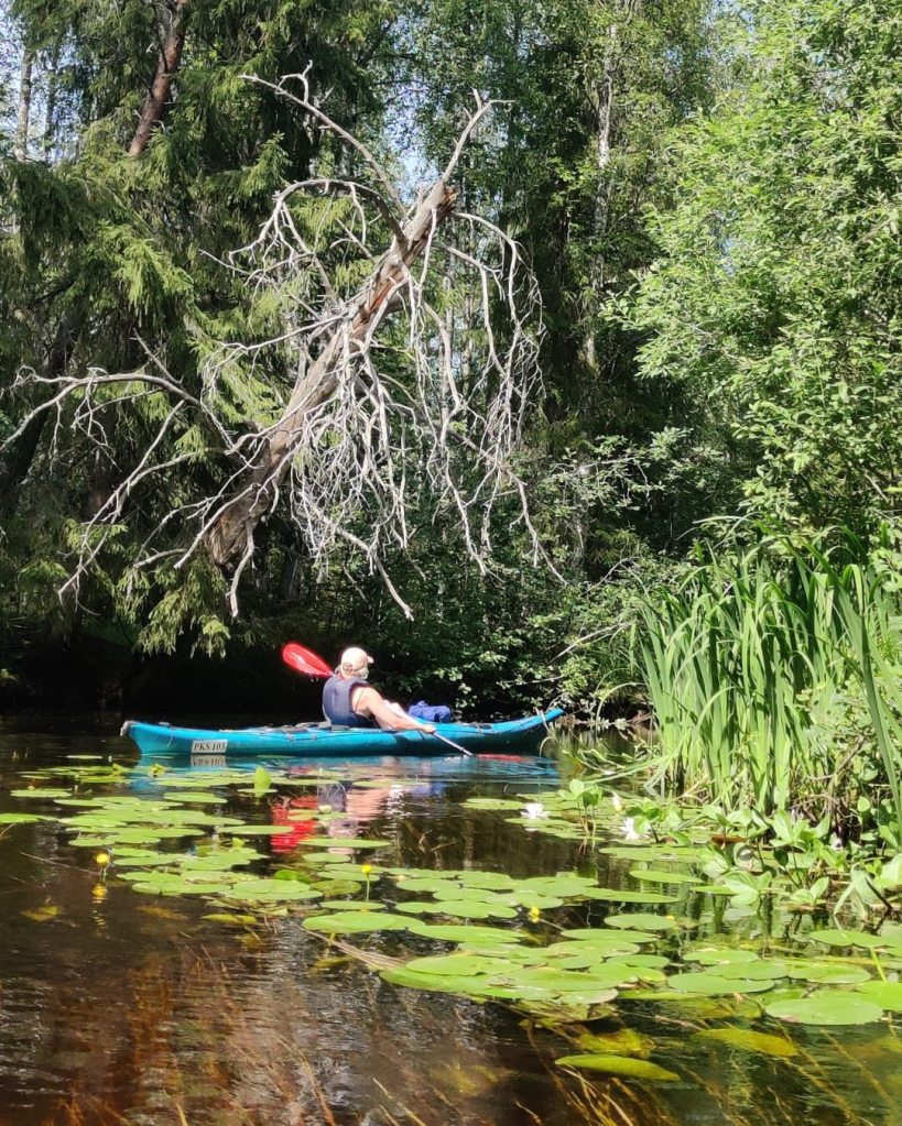 Upea Naarajoen luonto