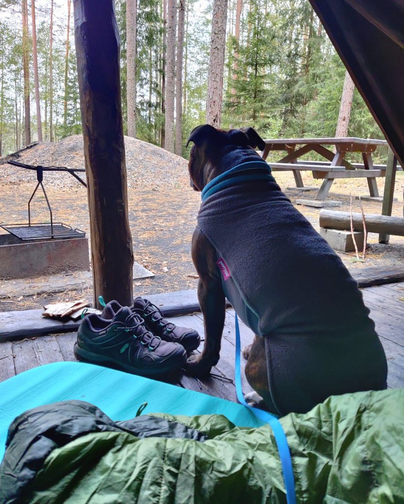 Möhkö-staffi heräilee laavuyön jäljiltä