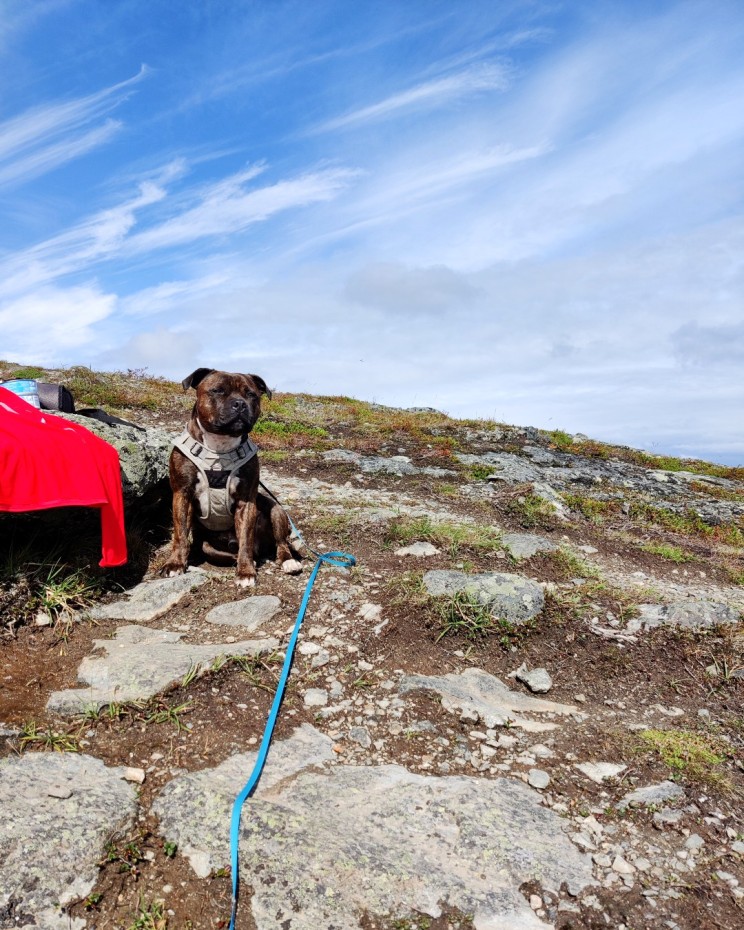 Möhkö Saanalla tauolla, ilman eväitä