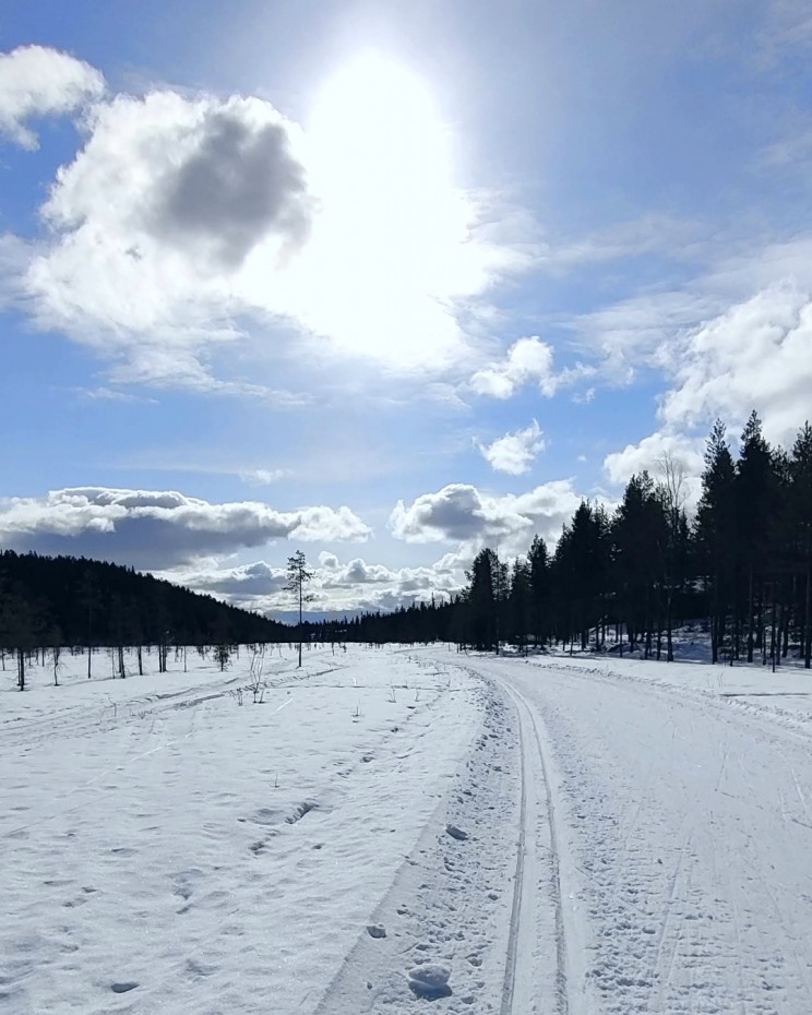 Rukan Salmilammi Alakylän reitillä