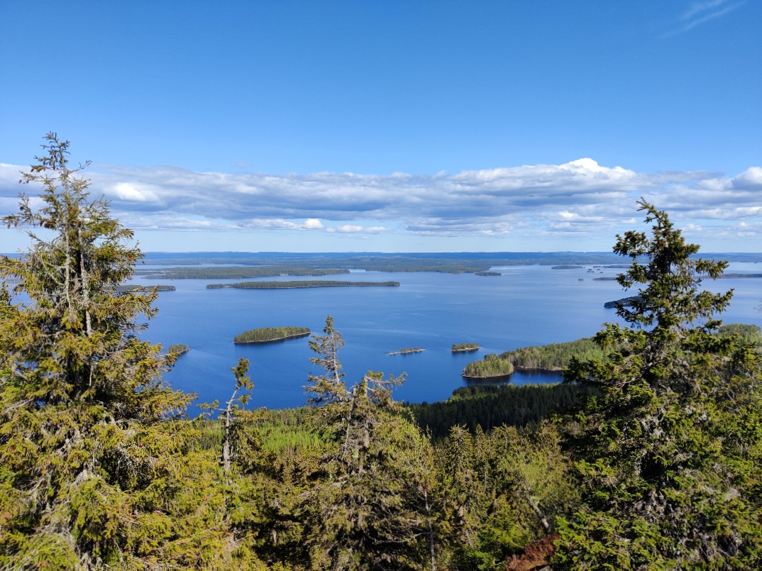 Kolin päiväreitit ja Ukko-Kolilta avautuma maisema Pieliselle
