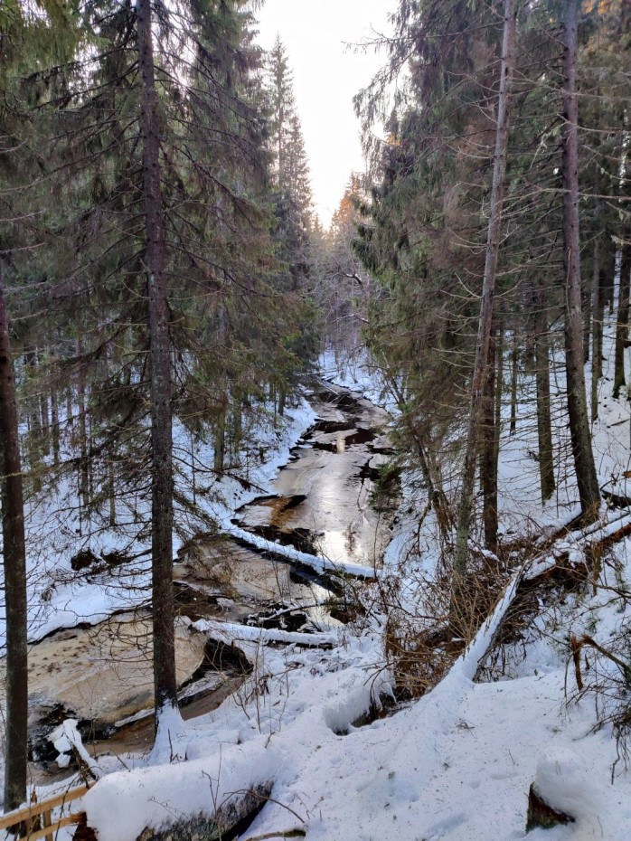 Juupajoen rotkon pohjalla kiemurtelee tietenkin Juupajoki