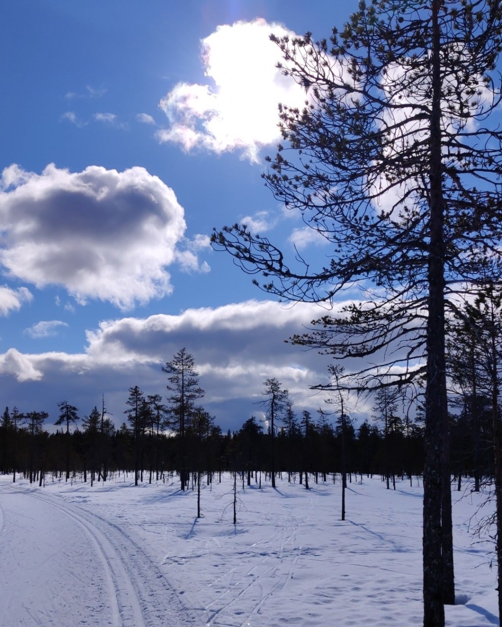 Hiihtoreissu Rukalla – Kuontivaara ja&nbsp;ympäryslatu