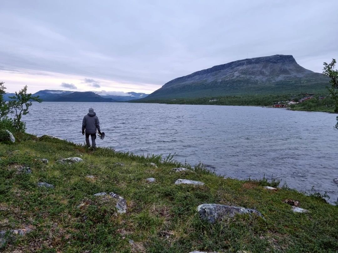 Ville kalassa Kilpisjärvellä Saanatunturin juurella
