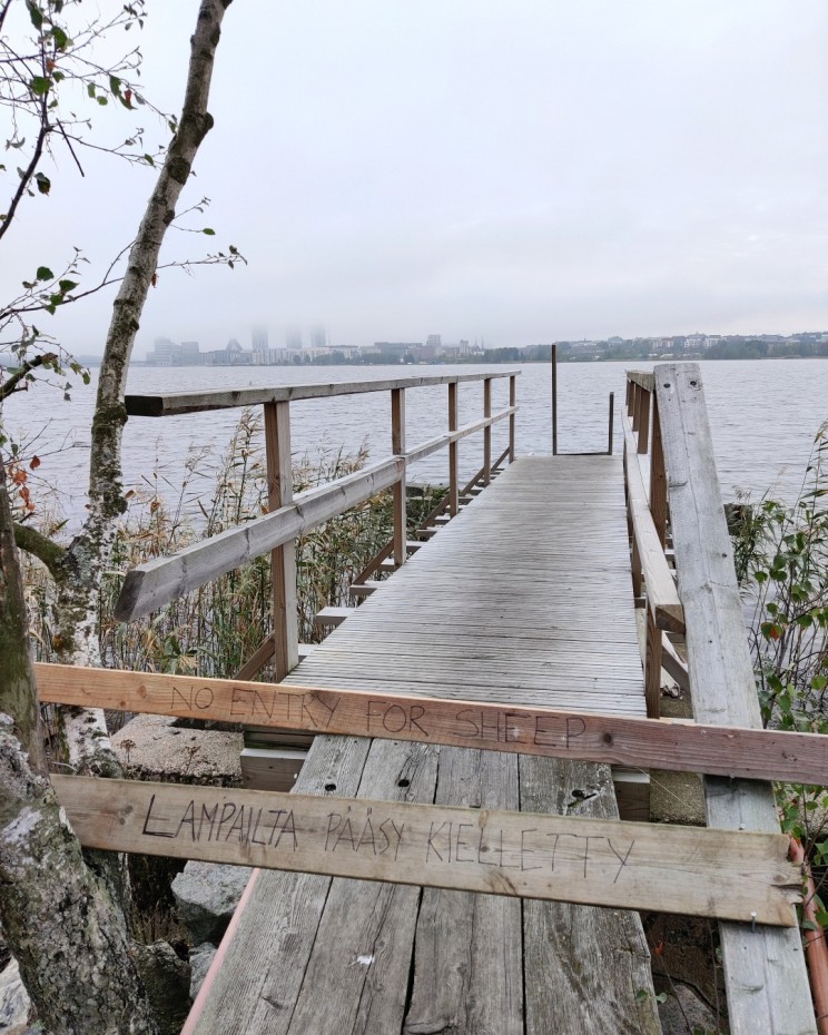 Kuusiluodon laiturille oli lampailta pääsy kielletty