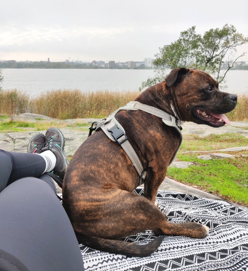 Piknikillä Kuusiluodon kallioilla