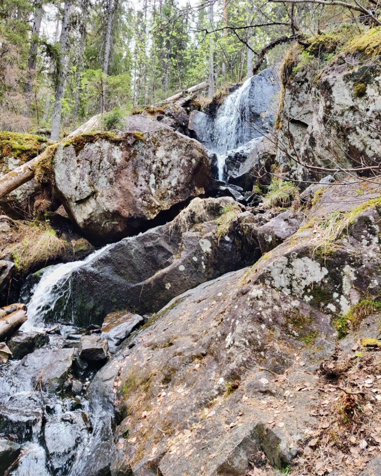 Tarhapuron vesiputous Kolilla