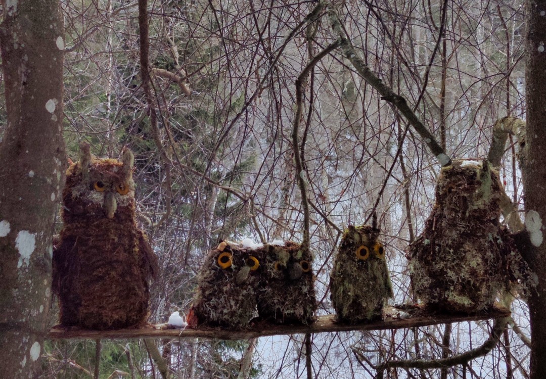 Juupajoen rotkon pöllöhahmot