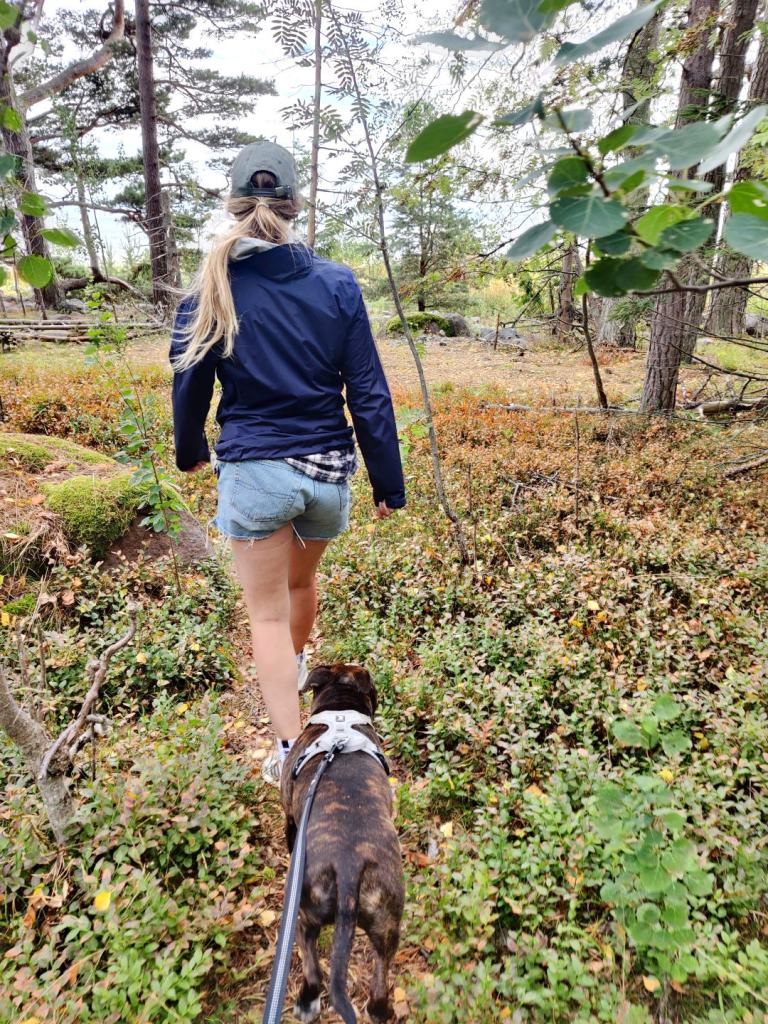 Gåsgrundetissa samoamassa metsässä etsien telttapaikkaa