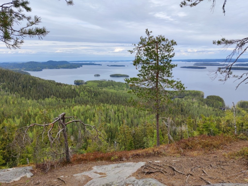 Maisema Pieliselle Mäkrävaaran huipulta