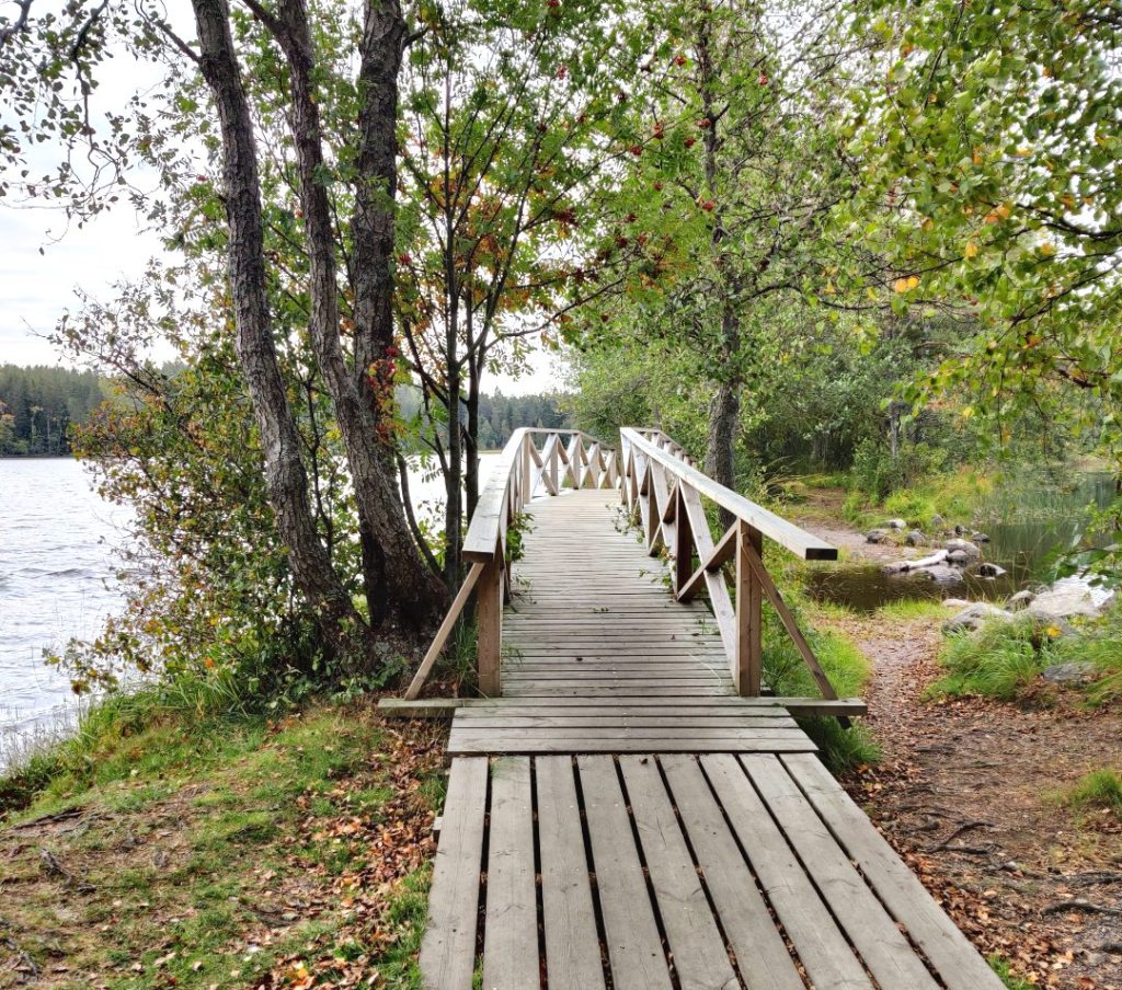 Pieni silta, jonka alla Kyynäräjärvi ja Liesjärvi kohtaavat