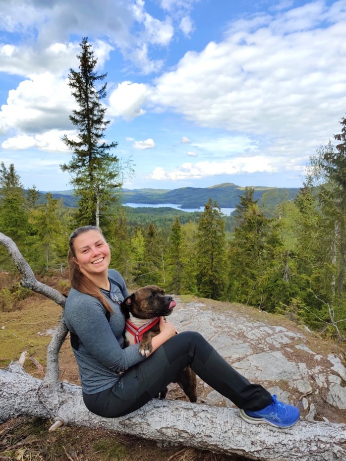 Ryläyksen näköalapaikan maisema on kerrassaan upea