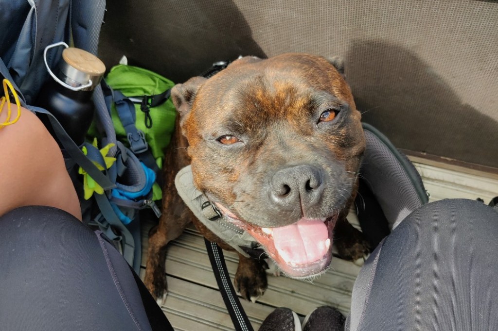 Möhkö istumassa veneen kannella matkalla Gåsgrundetiin