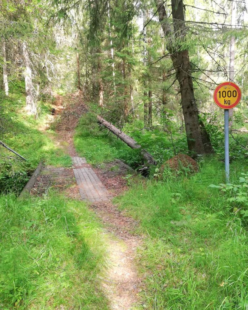 Pisto polulta paljasti vanhan sillan