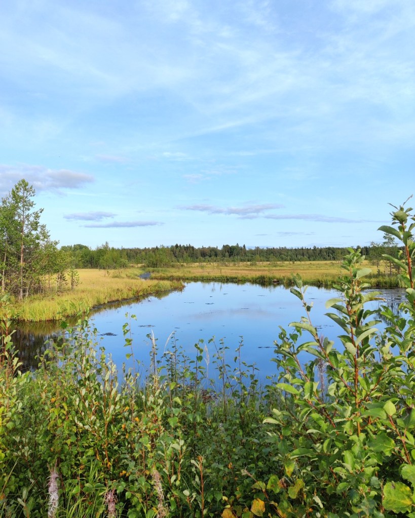 Järvimaisema pyöräretken keskellä