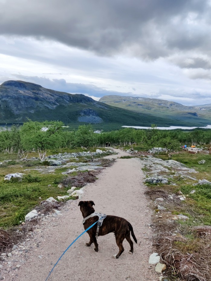 Nopeasti luontopolun alun jälkeen maisemat avautuvat pitkälle