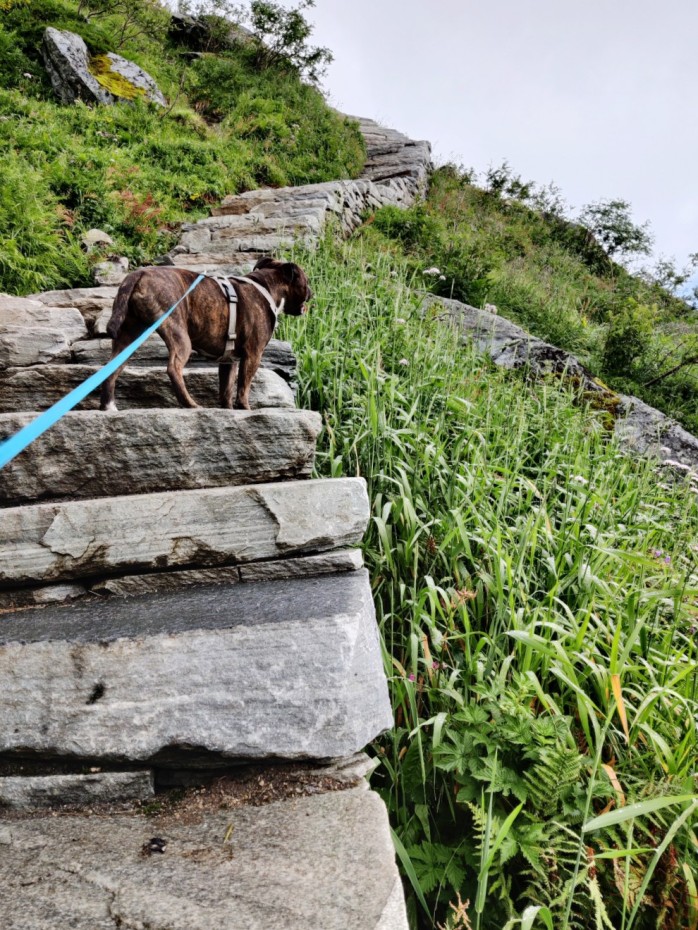 Möhkö-Staffi Reinebringenin portaissa