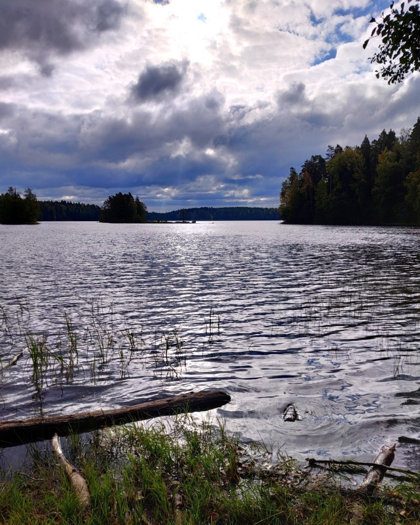 Järvimaisemaa kyynäränharjulta