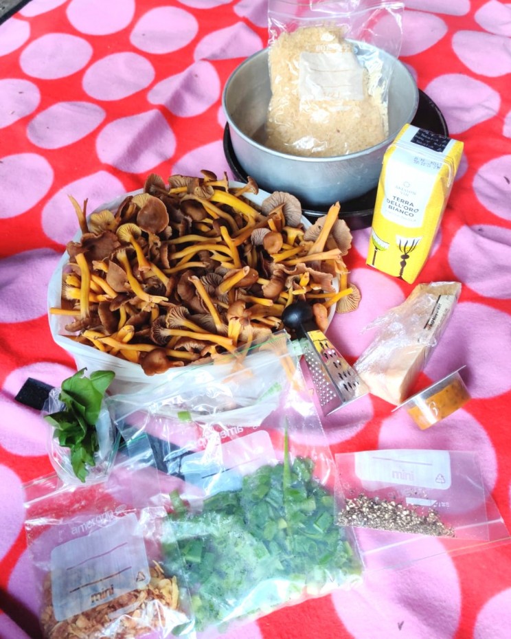 Ainekset suppisrisottoon