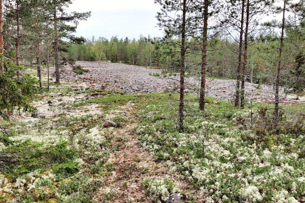 Kivipelto Parran mäellä