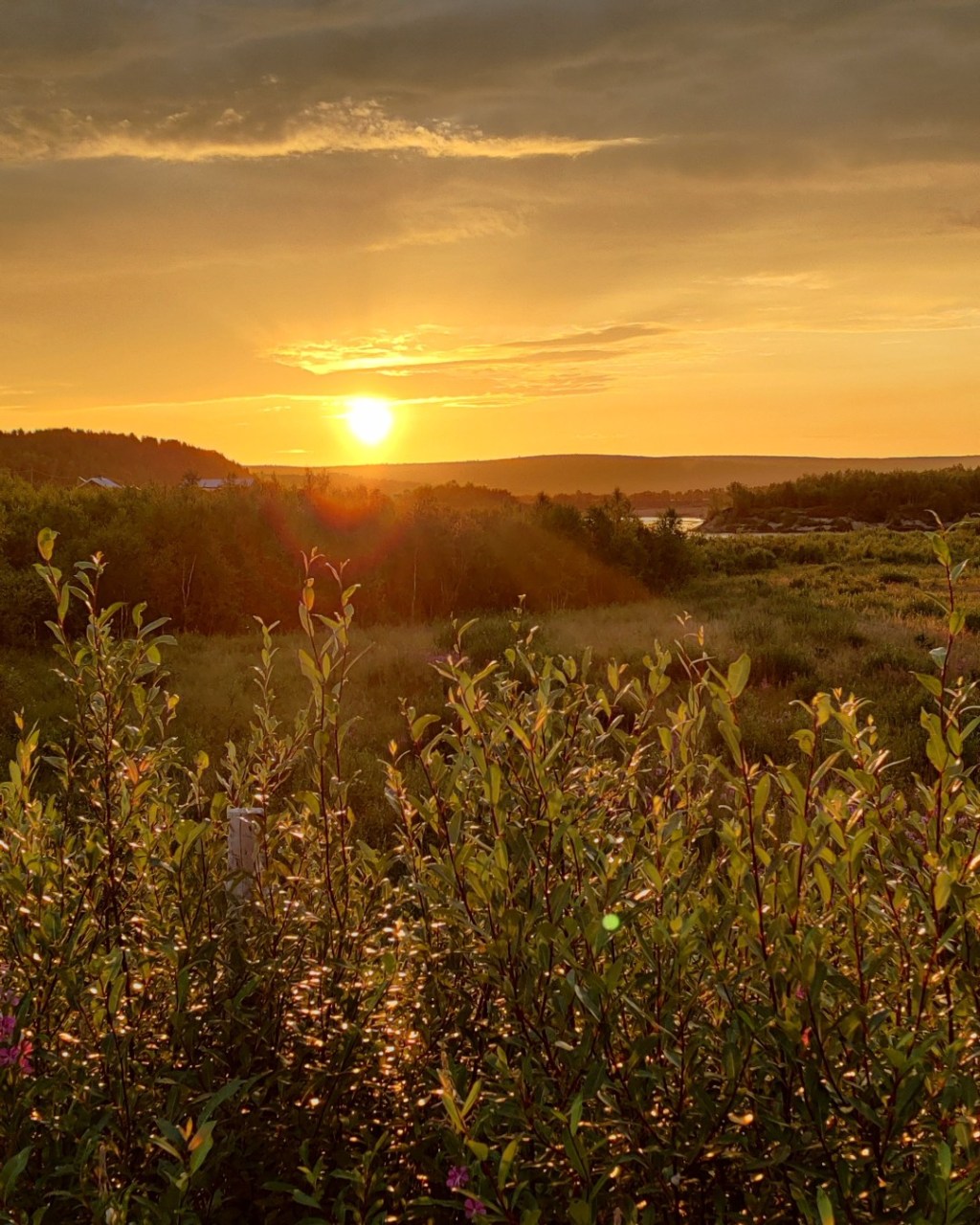Kaarasjoella auringonlasku