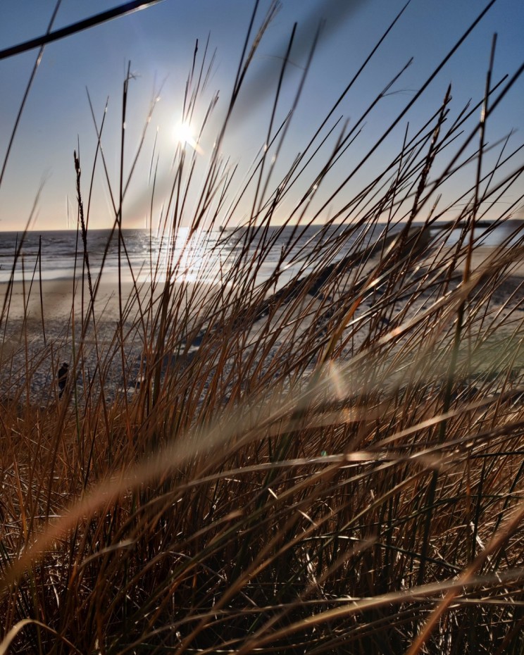 Hvide Sanden keskustan laituria rantaruohikon lomasta