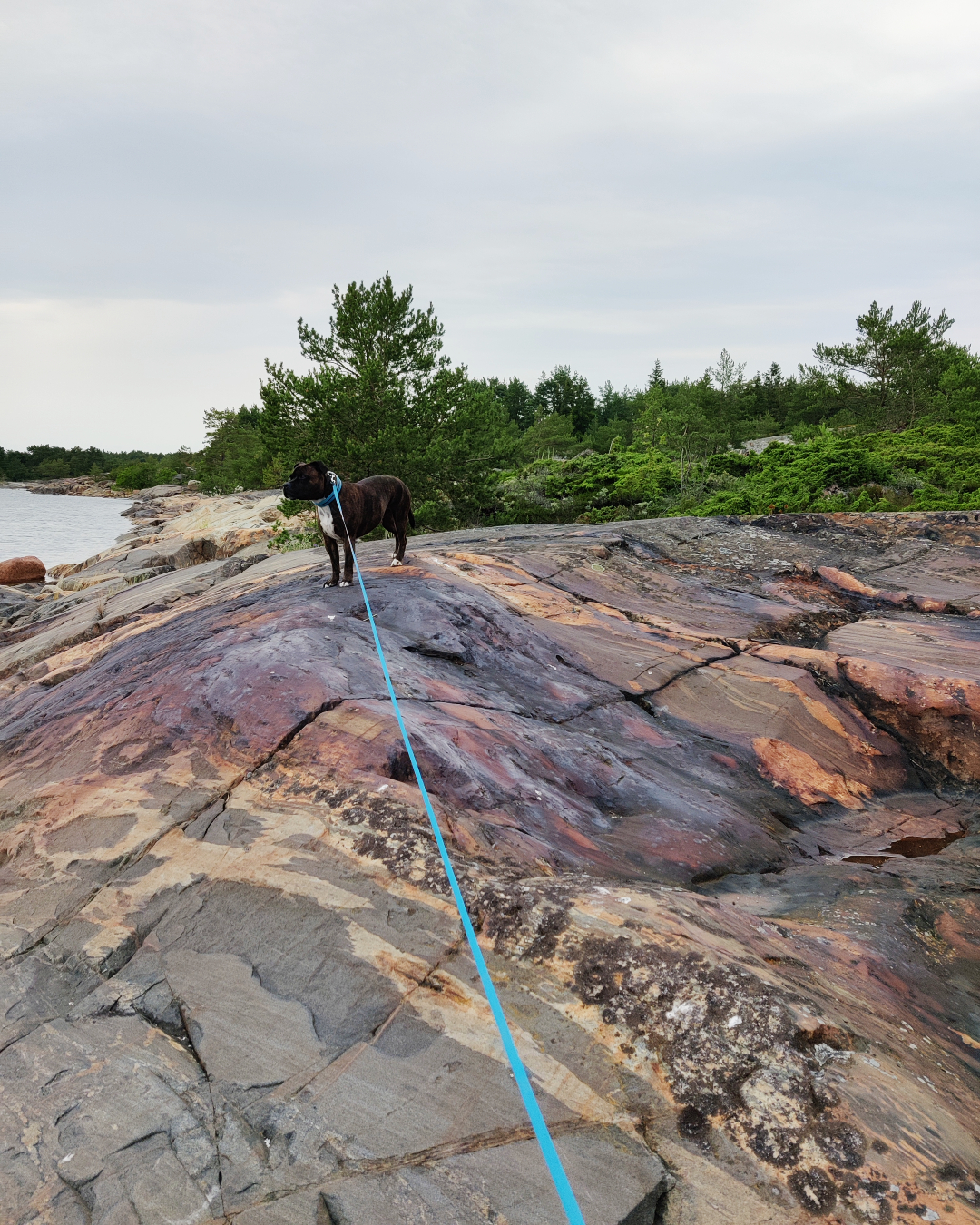 Möhkö patsastelee punaisilla kallioilla