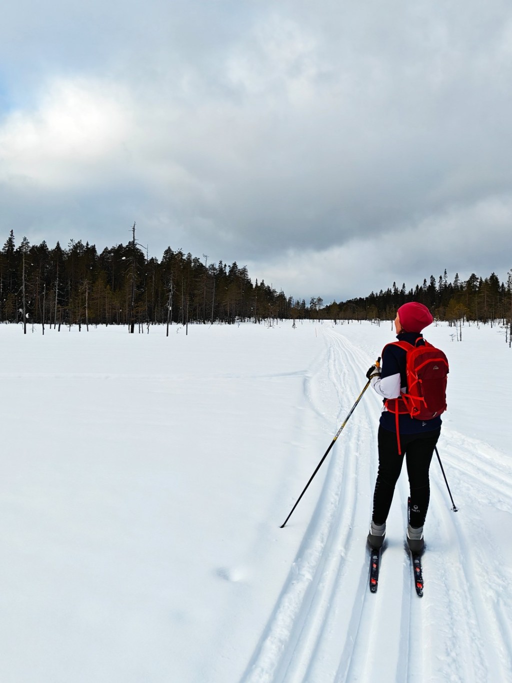 Itärajan hiihtovaellus
