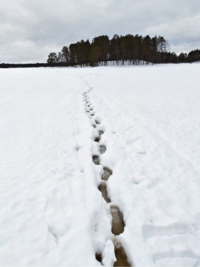 Pilkkijän sulaneet jäljet jäällä