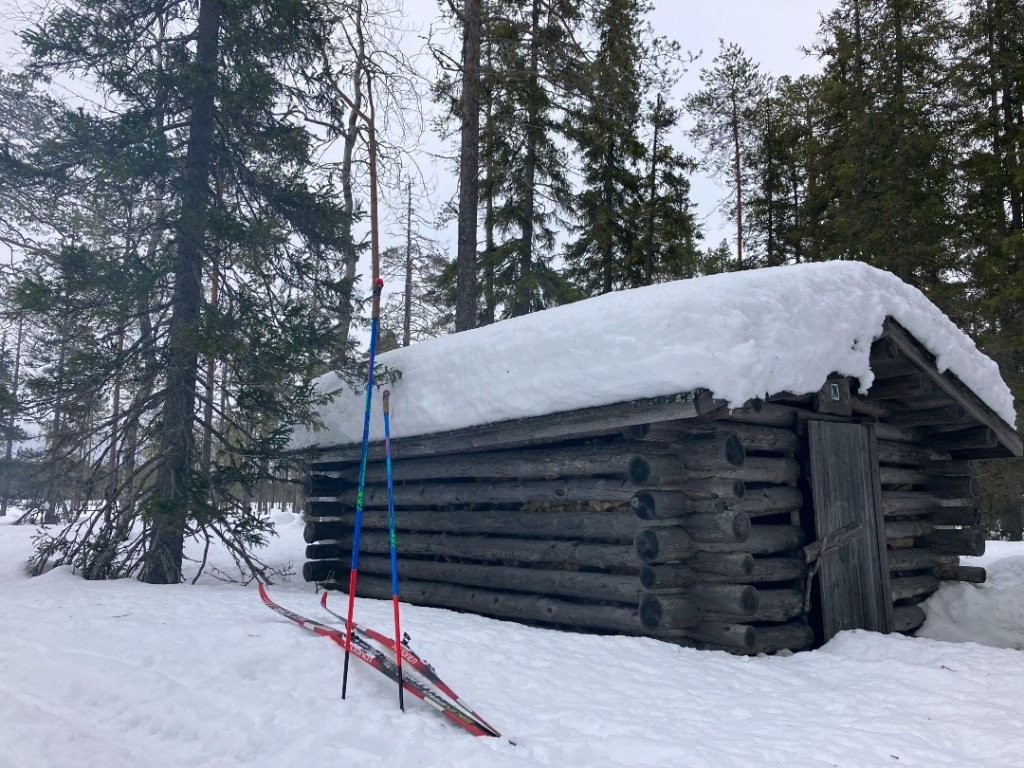 Vanha puuvaja lounaspaikalla Haatajanlammella