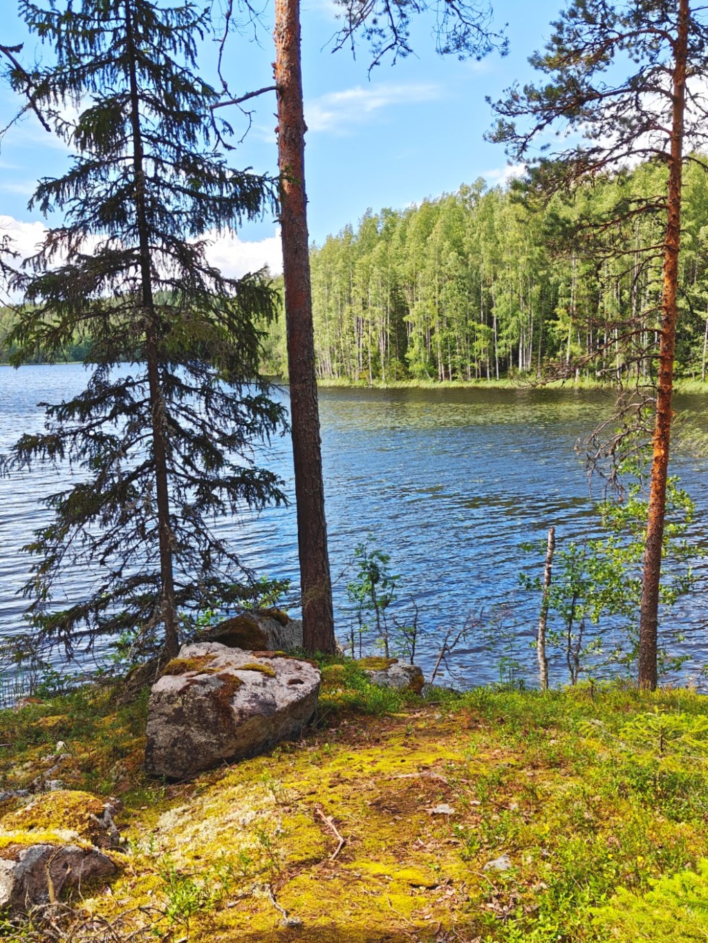 Koloveden kansallispuisto