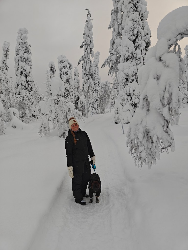 Lapissa etätöissä