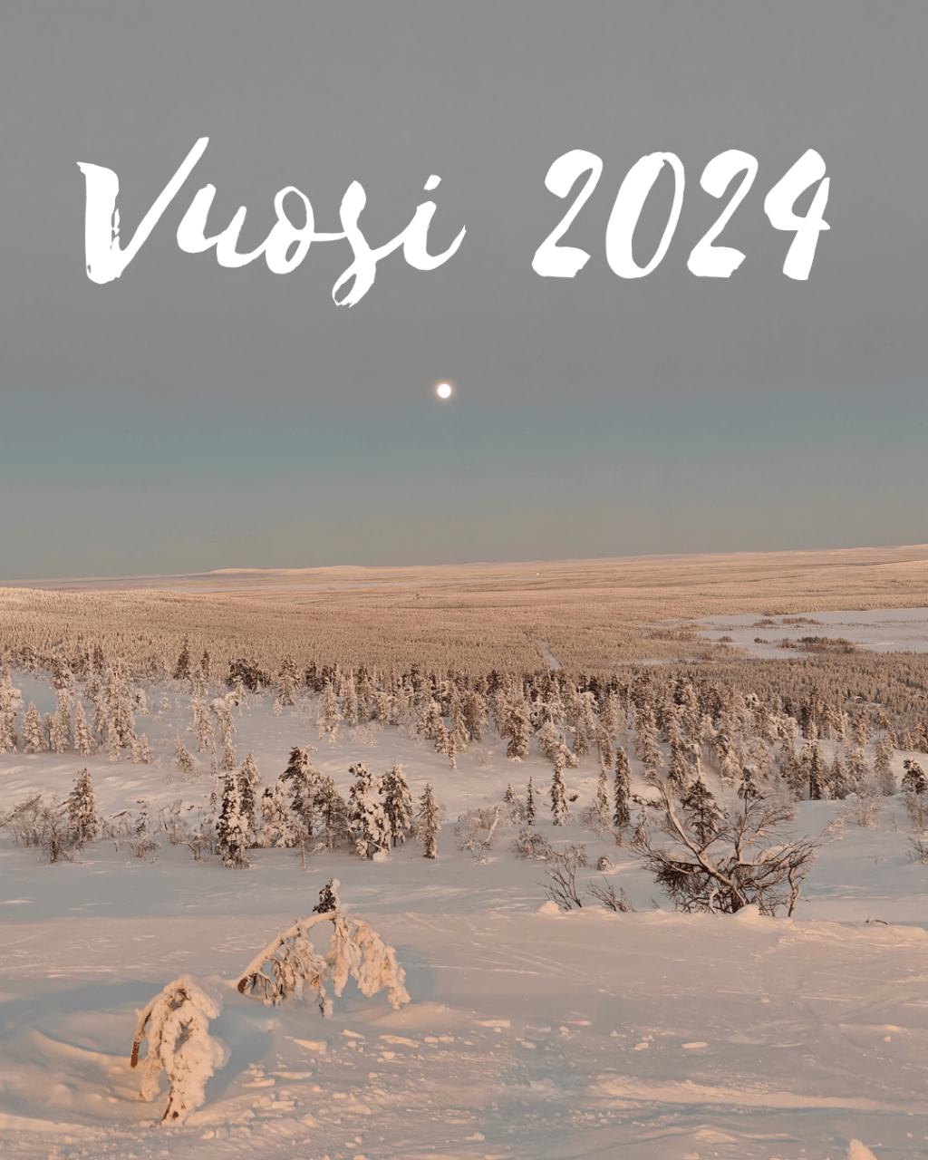 Muistelot vuodesta 2024